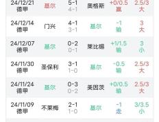 开云体育官方网站-弗莱堡主场战平，德甲积分继续累积的简单介绍