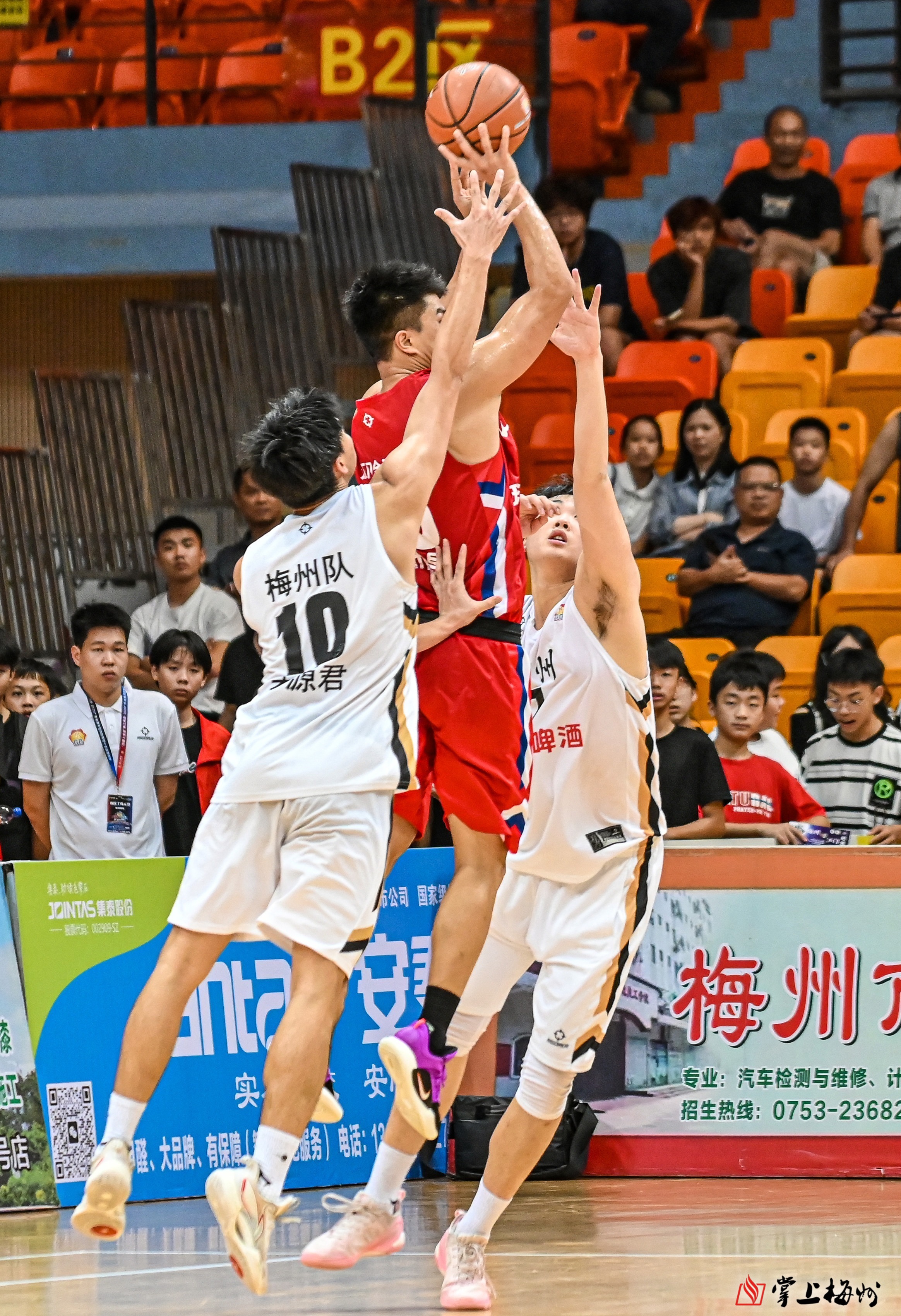 开云APP-国内篮球职业联赛强队实力碾压对手，鹰视狼顾